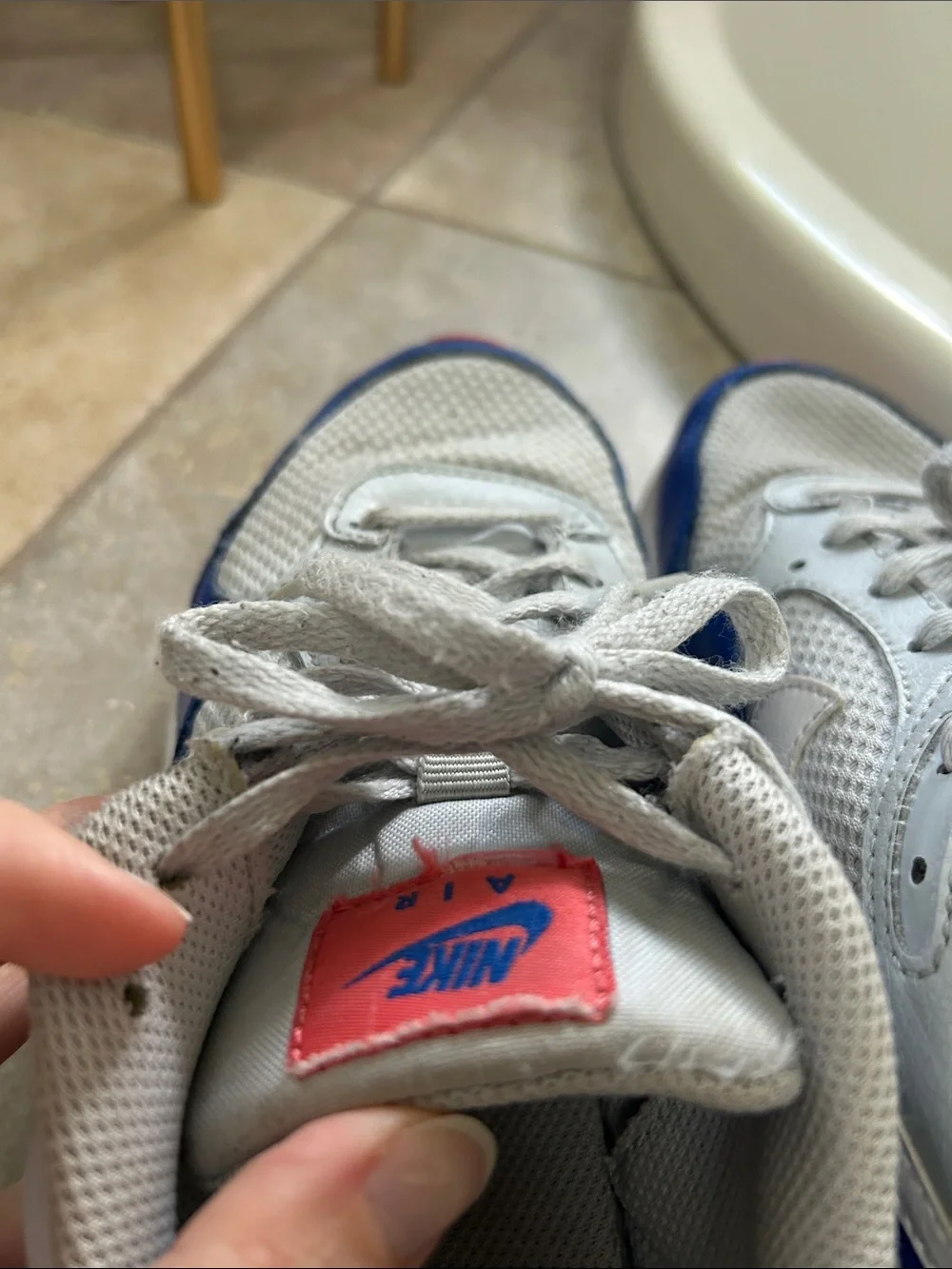 Nike Air Max sneakers